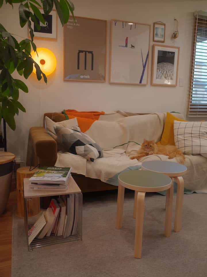 A living room with a moss green sofa covered by a beige throw, featuring a relaxed orange cat creating a cozy atmosphere