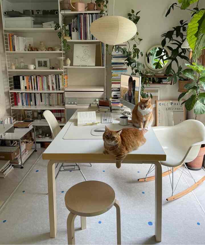 #マイデスクテリア基本的なデスクセットアップではなく、テーブル感のデスクテリアはどうですか？大きなカフェに来て勉強する気分も持って、 
テーブルの上にやりたいことをたくさん並べていると大丈夫です。 
図書館で勉強しているように、私はむしろこれを行うときに集中することができました！ ㅎㅎ

私のデスクでは朝のルーチンから夕方のルーチンまですべてがなされる本も見て、コンピュータもして、コーヒーも飲んで、必死でも、整理もして…。 ！ 

そして本当に集中が必要なときは？私の側のために作った本物の（？）デスクで働く！
それで本物のデスク（？）写真も一緒に見てみましょう。 📚💻✨

そして本当のデスクテリアの完成は猫並べる？ >_< 

＃デスクテリア＃読書台＃ノートブック取付け台
#デスク飾り #デスク小売 #desksetup #デスクセットアップ #デスク #デスク飾
＃机の整理＃iパッドマウントテーブル
＃cat＃iMac＃ホームオフィス＃家の装飾＃workspace