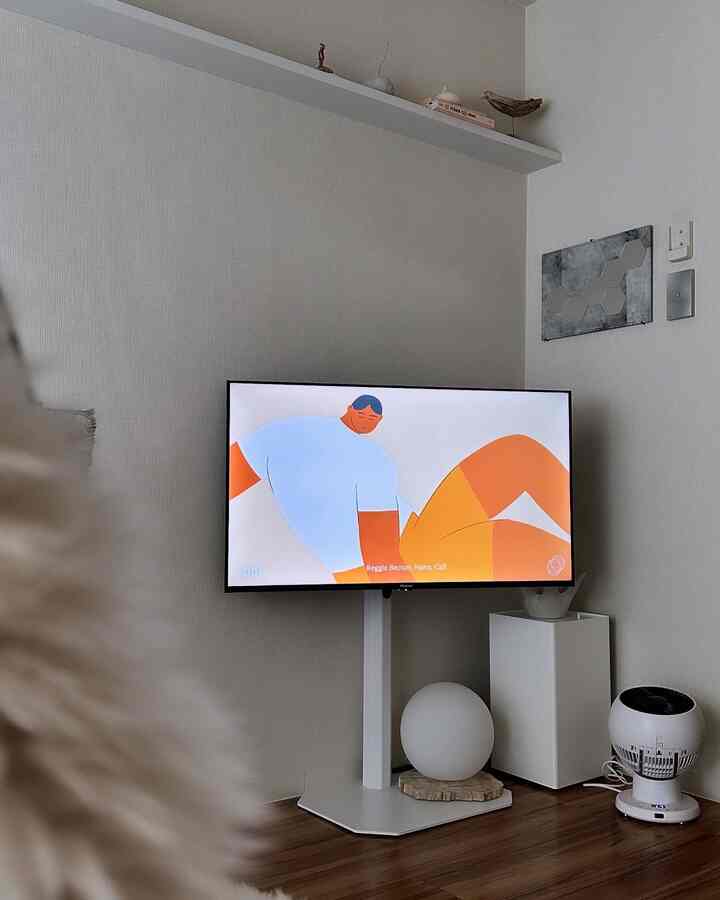 形と素材がいろんな白が集まってる🤍

#テレビ周りインテリア