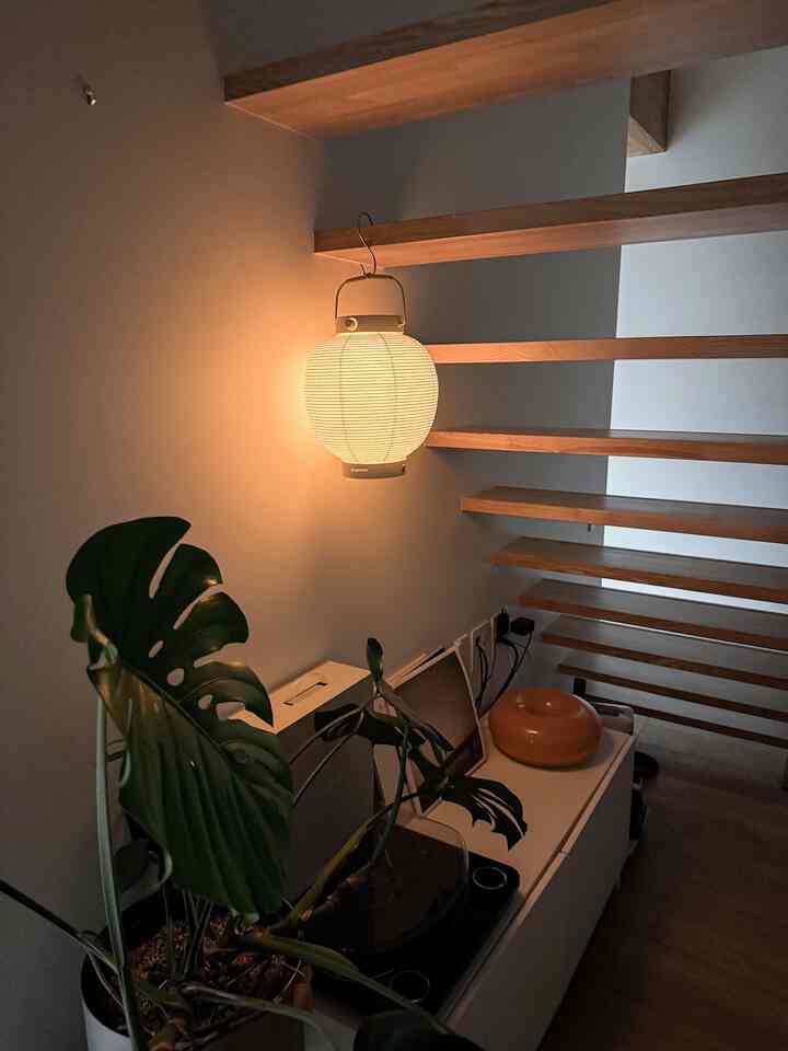 温かい照明とナチュラルな木目調が調和する小さな空間、ホワイトの棚に植物とペット用品が配置された雰囲気あるインテリア