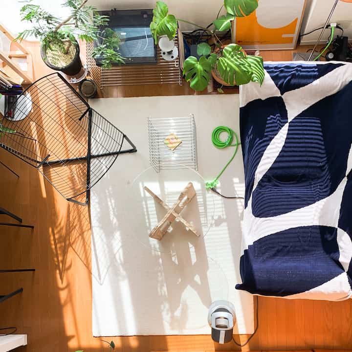 Modern single-person living room with white rug and navy patterned throw on sofa, featuring wood-tone floor, floor lamp, and plants creating a cozy atmosphere