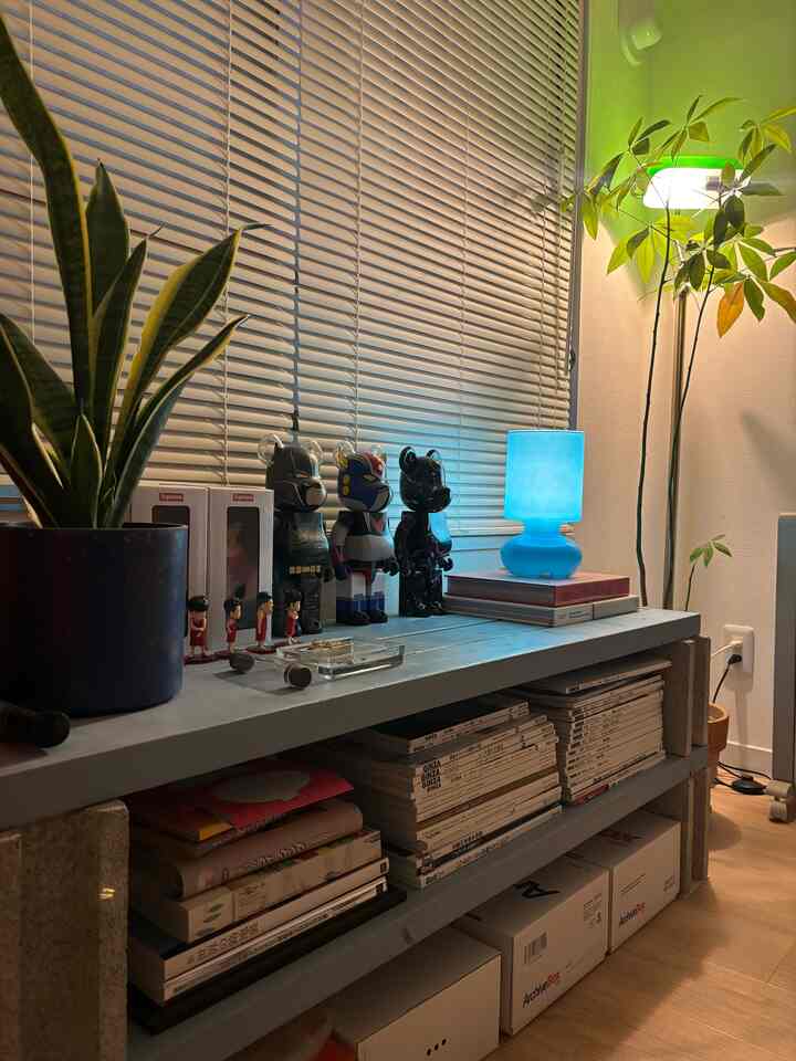 #bedroom #ベッドルーム #ブラインド #ブラインドカーテン #観葉植物 #間接照明