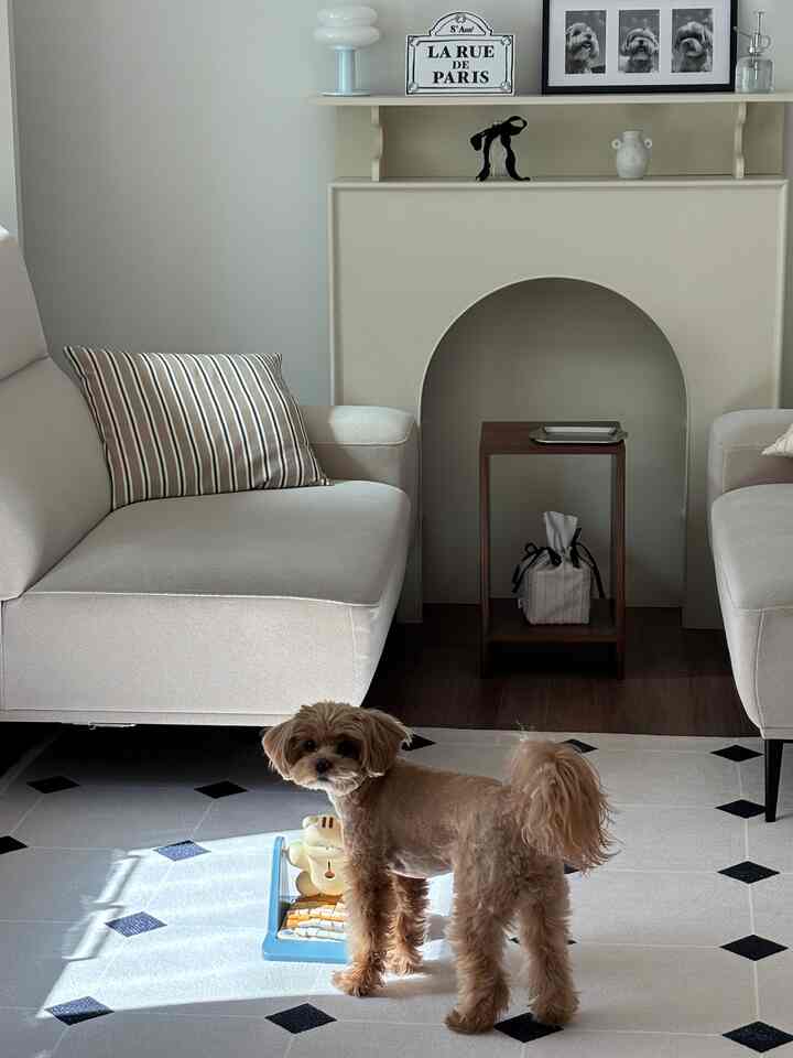 Ivory and brown toned living room featuring two ivory sofas and a tiled patterned rug, with a dog standing calmly in French country style space