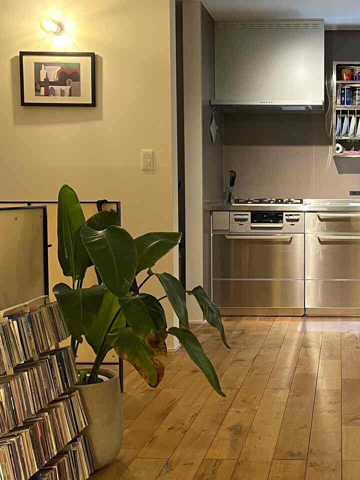 インテリアコーディネーターさんのアイデアで付けた壁の照明。アートを飾ったらいい感じになりました。
#ステンレスキッチン #アート #無垢床