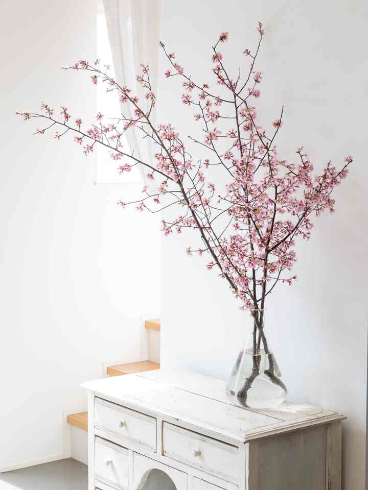 河津桜
#桜 #アンティーク
