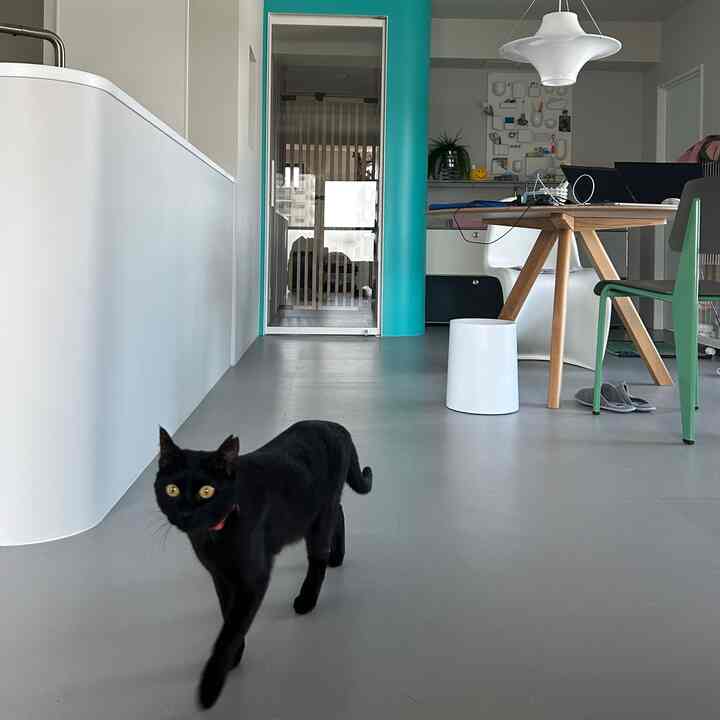 白とグレーのトーンの小さなホームオフィス、猫がいる洗練されたモダンなインテリア