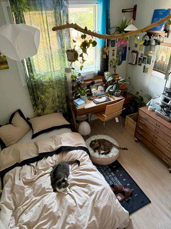 ナチュラルカラーと木目調の寝室、デスクと植物が配置された居心地の良い空間で、猫が2匹くつろいでいるインテリア