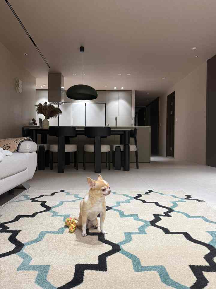 白と黒のトーンが特徴のリビングと対面型キッチン、ラグの上に座る犬がいるモダンでミニマルな空間