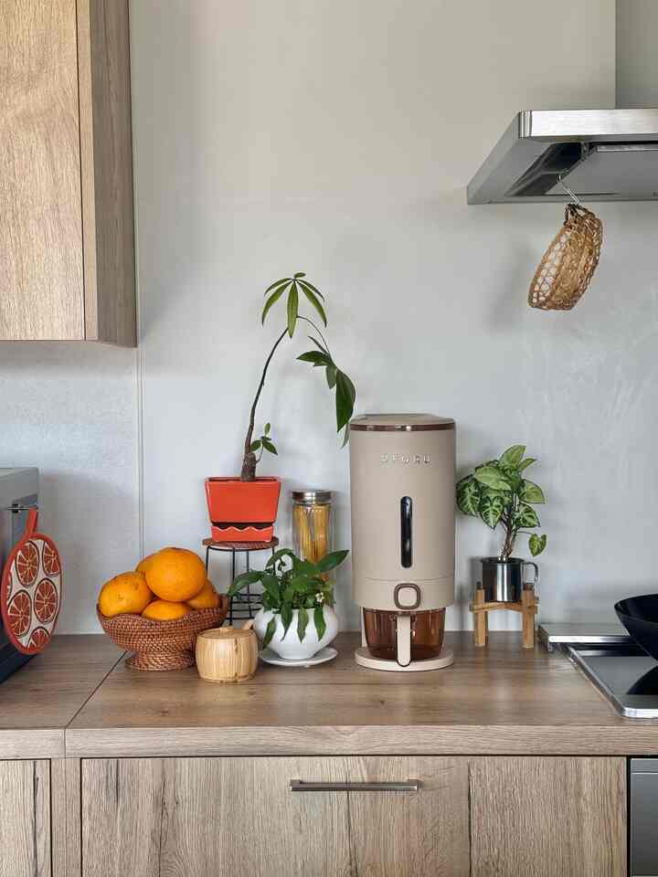 お洒落な米びつをTemuで💡

色が可愛くてお気に入りです🤎

#キッチン #キッチン小物 #米びつ #観葉植物