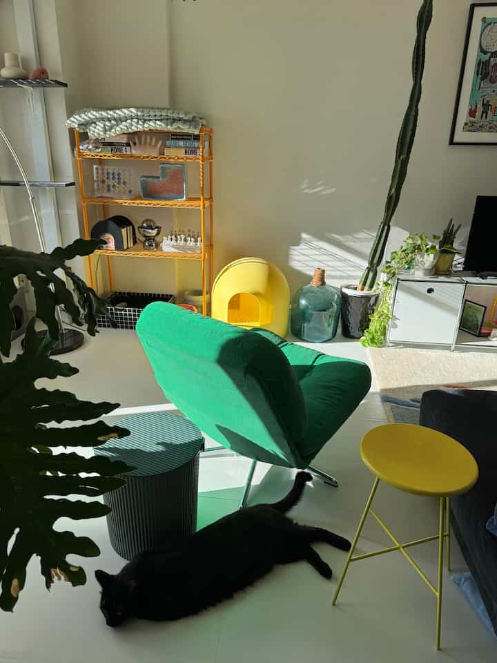 Bright yellow and green toned living room featuring an armchair and cat litter box with a modern cozy atmosphere