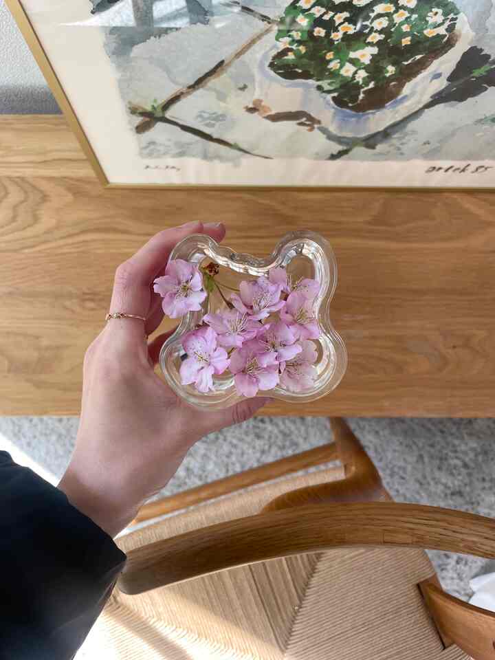 落ちてた桜でお花見🌸

#春　#北欧インテリア　#アルテック　#北欧　#リノベーション　#Yチェア　#土間