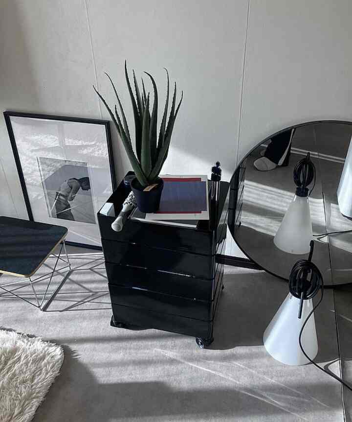 new
アロエフェイクグリーン
しっかりした作りで全然フェイクに見えないのがすごくよい。

#フェイクグリーン #アロエ　#観葉植物 #無機質　#無機質インテリア #flos #mayday #照明　#magis #eames #ikea #ワゴン