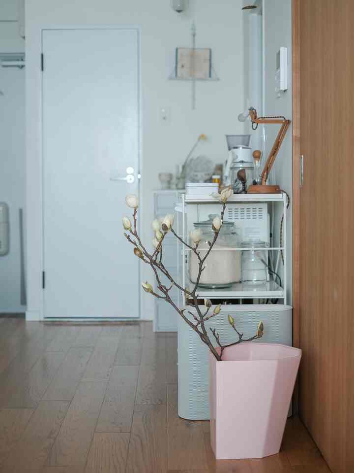 アーノルドスツールに木蓮を。わっさわっさになるくらいいけてみたい。

#アーノルドスツール #花のある暮らし