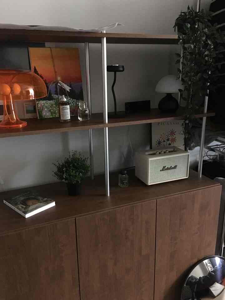 ブラウンの木目調が特徴のワンルーム、黒い照明と植物が配置された落ち着いた雰囲気のインテリア