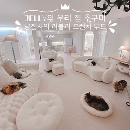 #우리집추구미 #냥집사의러블리프렌치무드
일곱 냥이와 함께하는 러블리 프렌치 무드 낭낭~ 한 
저희 집입니다~~~💛💛💛
저의 추구미 퐁퐁 느껴지시나요옴~~~💛💛💛
#프렌치인테리어 #화이트인테리어 #꼬떼따블
#거실인테리어 #거실 #부클레소파 #예쁜소파
#일곱냥집사 #고양이 #반려묘 #맞팔 #집사일상
#침실인테리어 #주방인테리어 #노르웨이숲
#러그 #타원러그 #샹들리에 #아치파티션 #홈카페
#아치가벽 #침대 #아치수납장 #1인용의자 #셀레티
#예쁜그릇 #예쁜템 #집사의집
