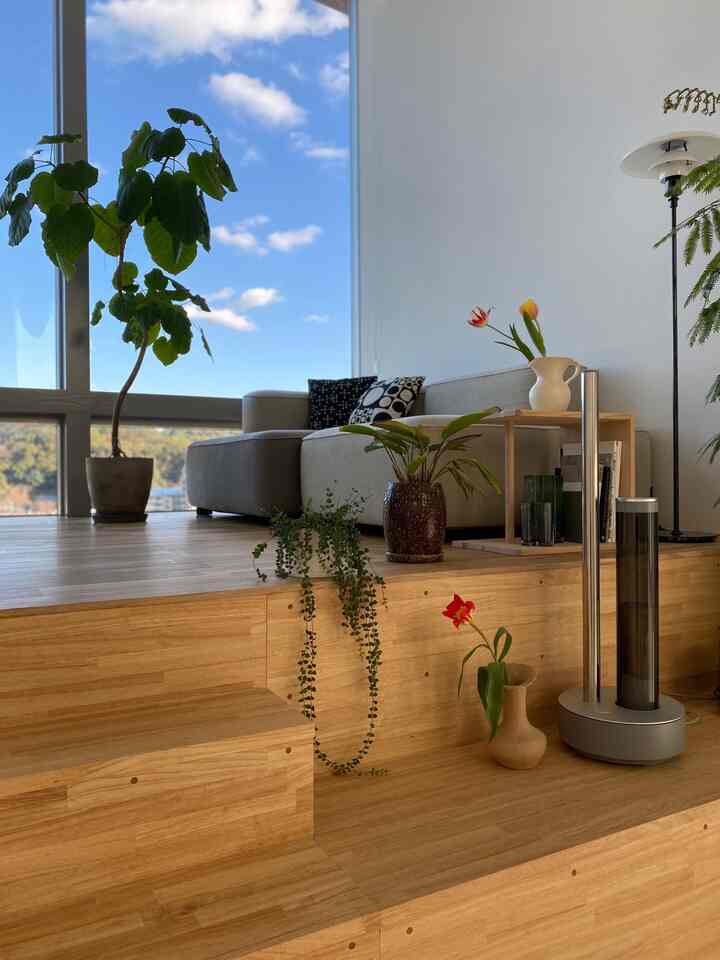 Bright living room with natural wood tones and indoor plants creating a fresh atmosphere