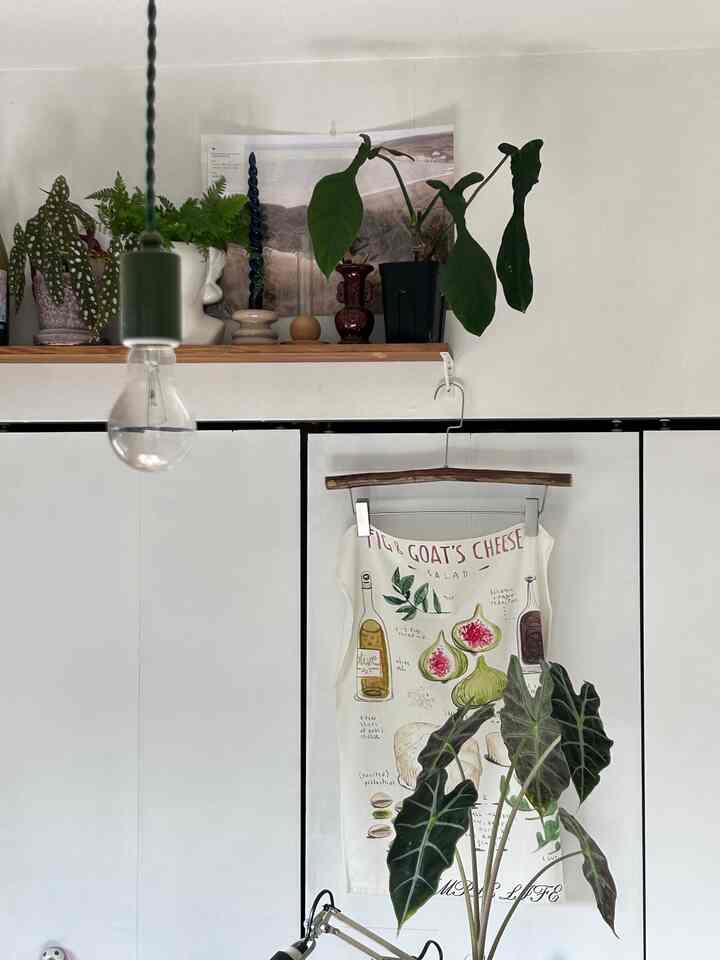 白い壁と木製の棚があるナチュラルトーンの空間、多様な植物と壁面装飾が配置された雰囲気のあるインテリア