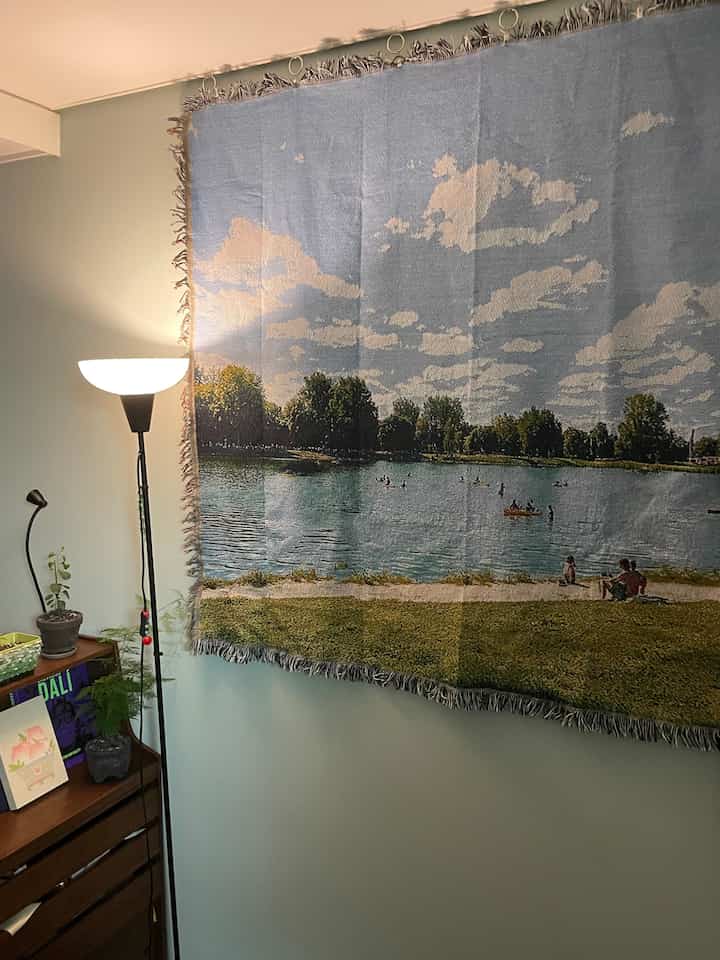 青空と緑の芝生が映えるヴィンテージスタイルのワンルーム、植物とフロアランプが配置された温かみのある空間