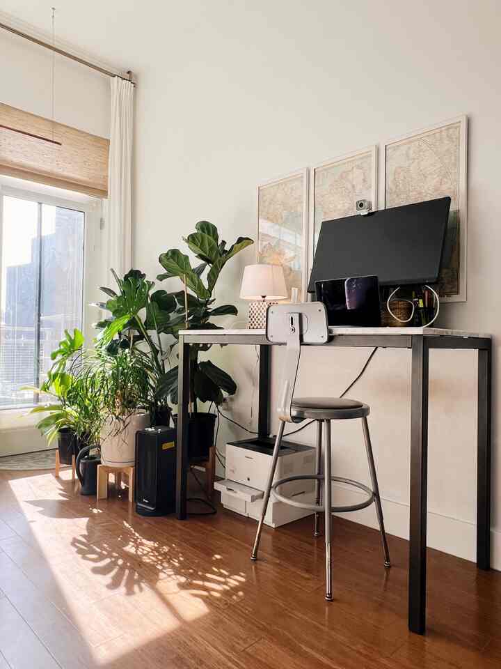 Natural wood-tone floor and white walls define a home office with plants clustered left, creating a neat workspace