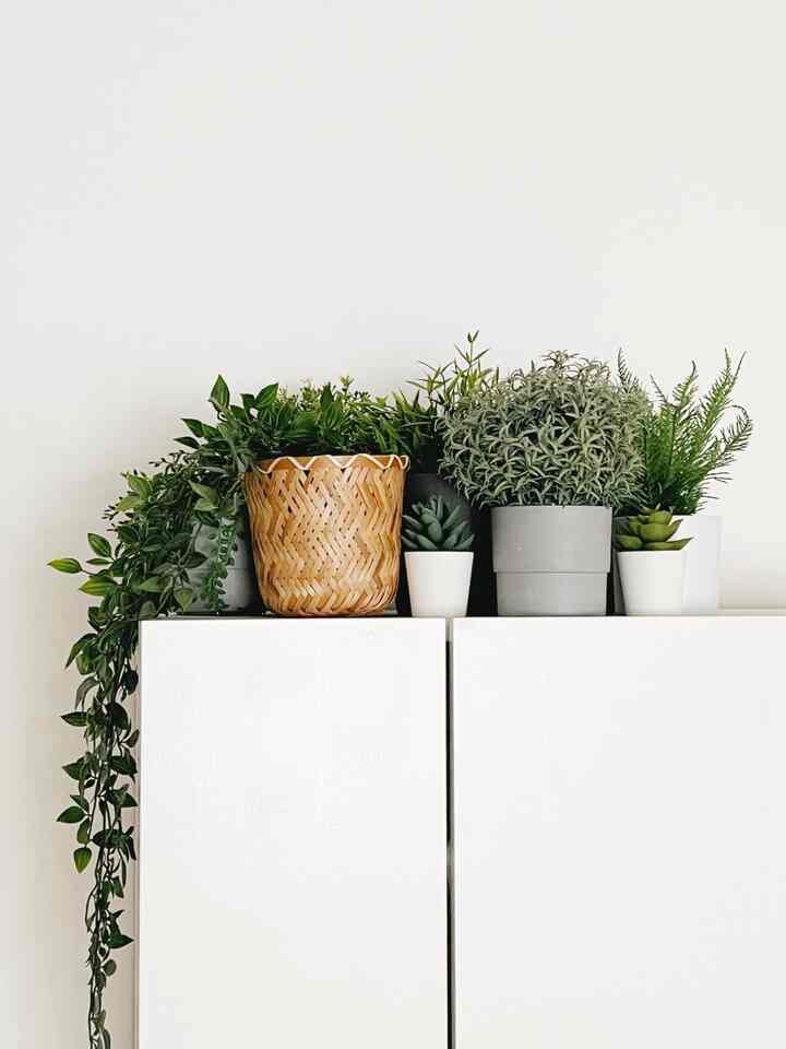 A bright, clean white cabinet topped with natural green faux plants and a wooden basket in a simple living room corner