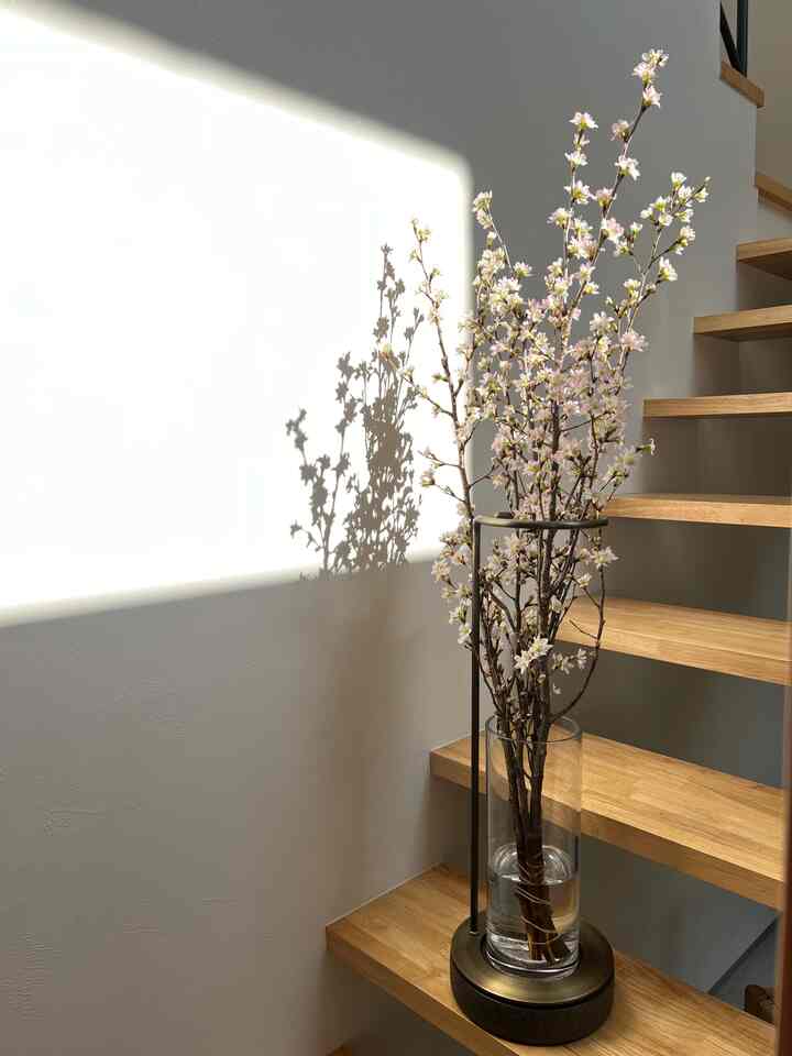 今回の枝物は桜🌸
一足先に満開に🥰
#観葉植物
#枝物