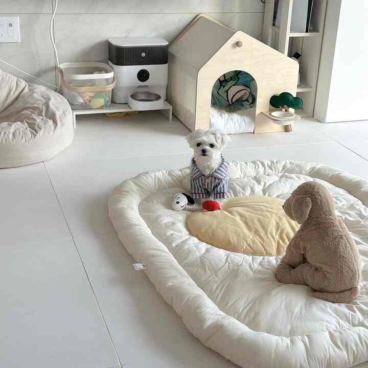 白とナチュラルカラーのペット専用スペース、木製ペットハウスと柔らかいペットベッドが配置された雰囲気のあるインテリア