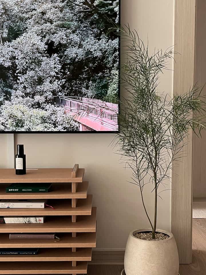 I brought a new flower pot into the living room 💚 The slender-leafed acacia is prettier in person ㅠㅠ It doesn't show up on the screen🥹
#SpringInterior #tuuk #아카시아