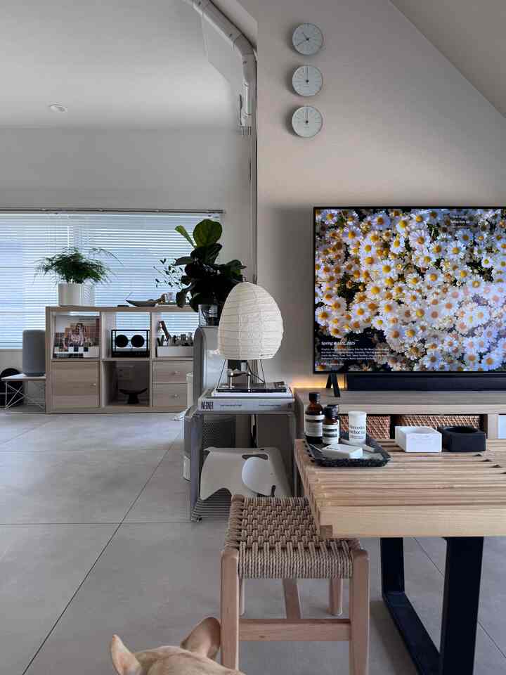 Thank you for watching!☺️

#北欧インテリア 
#ミッドセンチュリー 
#ミッドセンチュリーモダン 
#ジャパンディ
#デザイナーズ
#japan
#AKARI
#isamunoguchi
#イサムノグチ
#vitra
#artek
#arnejacobsen
#PoulKjaerholm
#montana #panton
#aesop
#フレンチブルドッグ