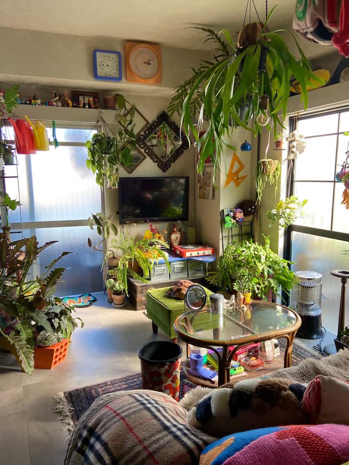 Season7のアンバサダー最後の投稿です。
初めてのルームツアー記事を執筆させていただいたり、投稿を通して部屋の移ろいを紹介できたりと、貴重な機会をいただくことができました◎
今後はどうなるかわかりませんが、Instagramと合わせて変わらず気ままに投稿していきたいと思いますので、見てくださっている皆様、引き続きよろしくお願いいたします☺︎
#ミッドセンチュリー #ヴィンテージ #昭和レトロ
#観葉植物 #グリーンインテリア #多国籍インテリア
#リビングインテリア #ソファインテリア 