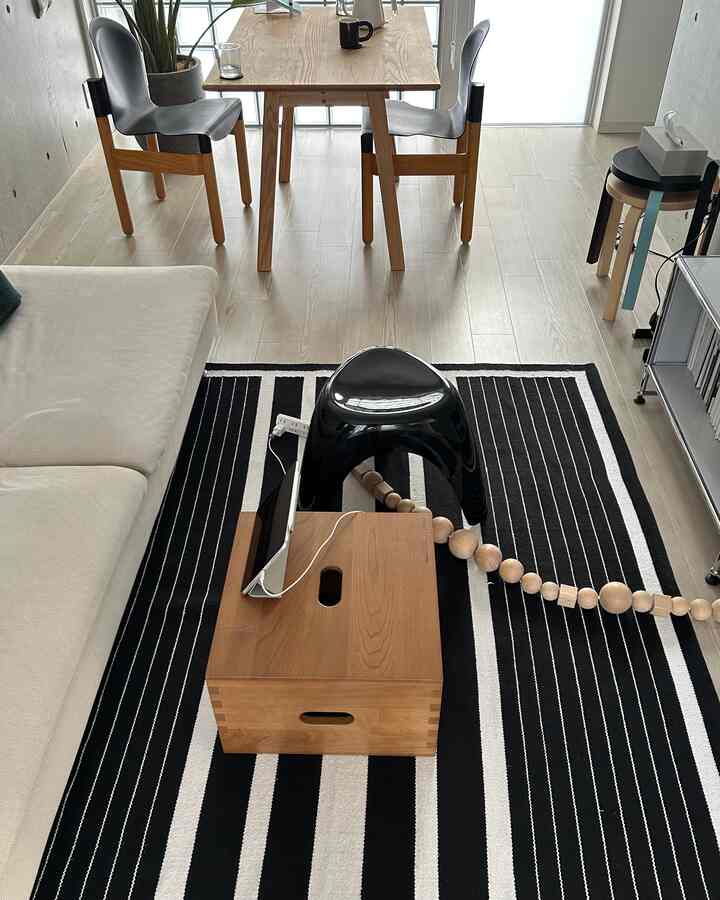 Bright wood tone and black-and-white striped rug in a modern cozy living and dining space
