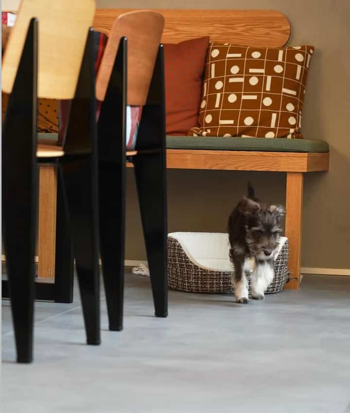 ・
Good evening♪
Since we got our 🐶, we've been amazed at how easy it is to clean the floor tiles!

Even if he makes a mess, it's easy to clean up and we love it!

Item numbers are tagged!
#Floortiles #ダイニング #サンゲツ

