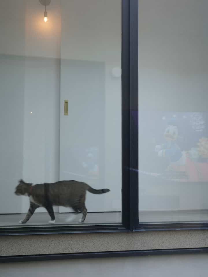 ＿＿＿＿＿＿＿＿＿＿＿＿

すたすた歩く君。

#ねこと暮らす家 #ドア #取手