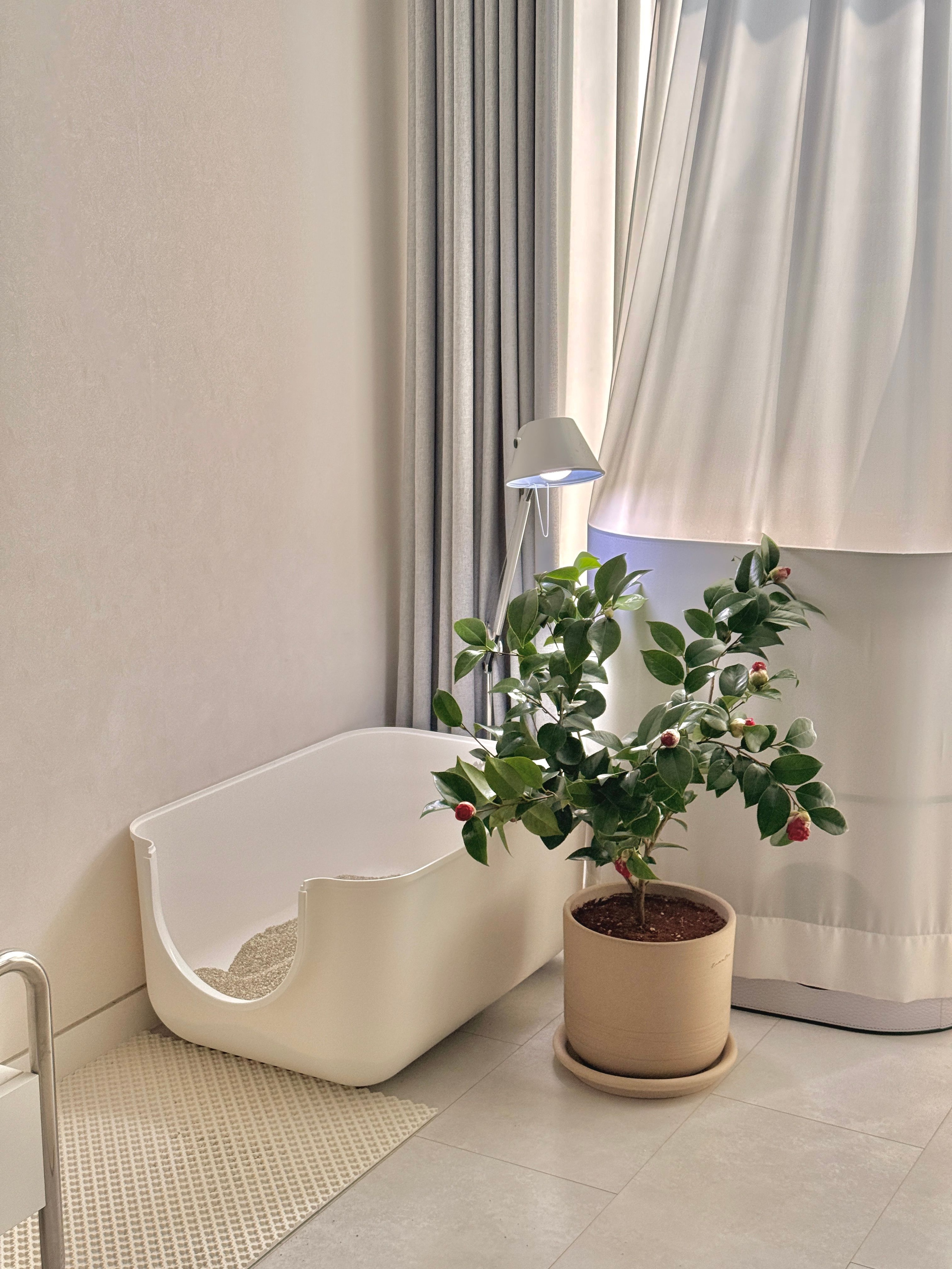 Vintage Terracotta Planter user photo