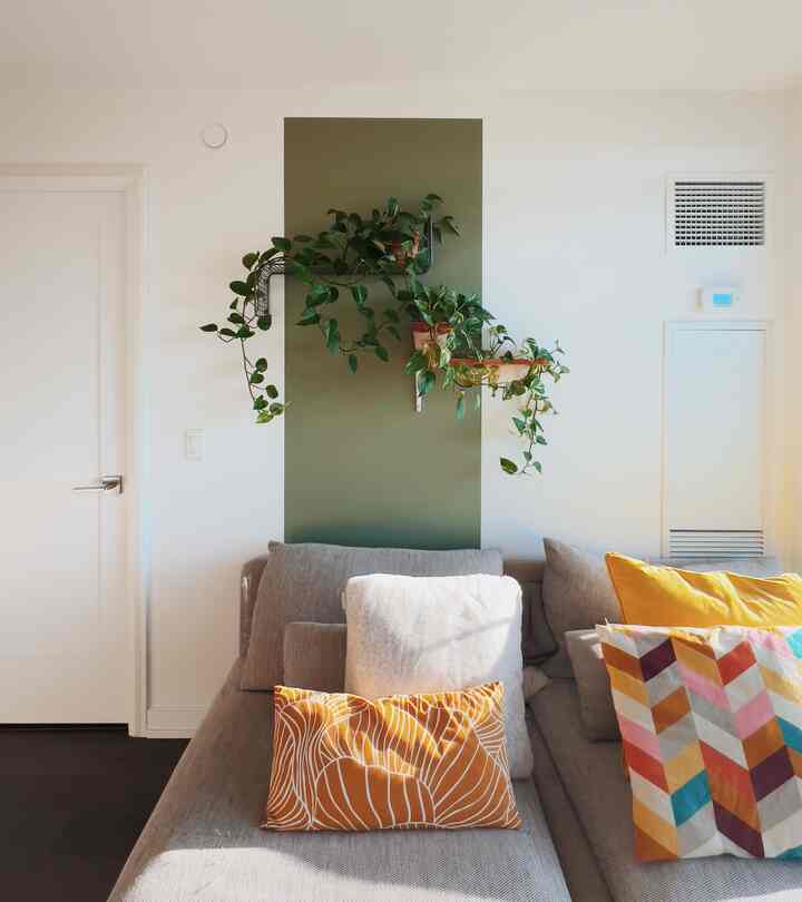 Pillows and plants make life in a hectic modern condo more relaxing
#relax #apartment #city #newbuild