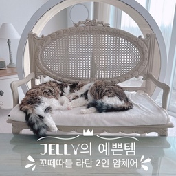 #콘수프기록 #예쁜템최고야 #라탄체어
냥이들이 얼굴 박치기하며 자는 모습이 넘 귀여워서 찍은 사진인데욤~
왼쪽 망고💛 오른쪽 초코💛
(자세히 보시면 초코 얼굴 밑에 망고 얼굴 찌굴하게 보여욤~
 ㅋㅋㅋ)
”라탄 암체어“ 요놈~ 예쁜템으로 당첨~~~🎊🎊🎊
ㅋㅋㅋ
예쁜템으로 소개해드리고 싶어서 사진 찍은적도 있는데욤~
각잡고 의자만 찍으니 사진이 예쁘게 안 나오더라구요~
그래서 소개 못해드렸는데… 😭😭😭
일케 냥이들이 자는 모습 찍은 사진 속에서 자연스럽게 보여드리게 되네욤~ ^^
냥이들 동선에 맞춰 가구를 두다보니 
의자와 테이블도 바짝 붙여놓고…
거대한 캣휠도 의자 뒤에 뙇~ 있고…
엉망진창 인테리어입니당… 😭😭😭
라탄 암체어는~ 한눈에 뿅~💛 반해버려 겟겟~ 했는데욤~
실제로 받아보니 더더더 아름다워서~~~
감동스러웠던~~~ 의자입니당~💛
그냥 하나의 오브제~~~💛💛💛
존재만으로 너는 역할을 다했다아아아~~~👍👍👍
”꼬떼따블 라탄 2인 암체어“ 
오늘의 예쁜템이었습니다앙~💛
💛일곱 냥 이름 : 초코 우유 딸기 쨈 망고 젤리 크림💛
#프렌치인테리어 #화이트인테리어 #꼬떼따블 #라탄의자
#일곱냥집사 #고양이 #집사 #반려묘 #맞팔 #암체어 #라탄
#집사일상 #집사의하루 #집사의집 #집사인테리어 #캣휠
#고양이용품 #냥템 #노르웨이숲 #놀숲
#예쁜템 #의자 #벤치 #거실 #거실인테리어 #거실꾸미기