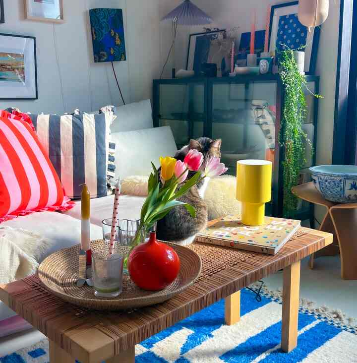 白い壁とソファのあるリビングルーム、青いラグと木製のコーヒーテーブルにチューリップの花瓶と猫が置かれたナチュラルな雰囲気のインテリア
