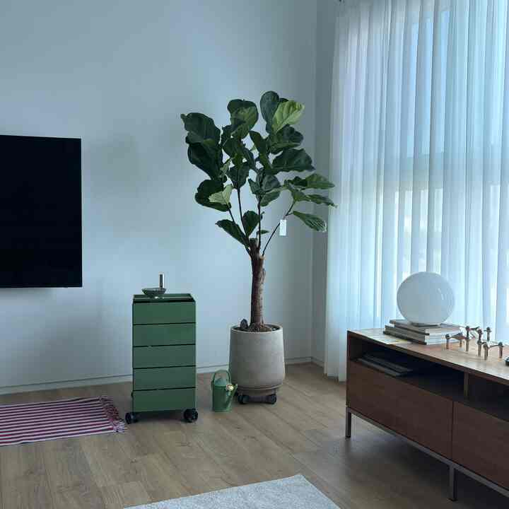 収納力とデザインの両方とも握ったマジストロリー🍏

私たちの家の車輪付き家具を紹介しましょう。 
マジストロリーは価格が悪く、購入直前までも大変悩んでいた家具です。 
何十回も悩んでいました。 

デザイン：丁寧だけどユニークで綺麗な色味でリビングに置いても部屋にも置いても視線強奪🧃

収納力：思ったより物が多く収納されて見えなくて雑動サニー入れるのもとても良いです。私は支流と文房具を保管しています。ただ！カーンごとに高く高くはありません。 

モビリティ：ホイールがスムーズによく転がって、上下に移動するのが好きです。特に机のそばで使うときは、机でフックするのがいいですよ🍋‍🟩

もしお悩みの方がいればおすすめドリップニダン🍏🧃🍋‍🟩

#リビングインテリア
#家具インテリア
#引き出し
#マジス 
#magis
#マジストロリー
#トロリー
#カラーポイント
#カラーアイテム
#ホイール
#hayラグ 
#リビング
#コンスプ



