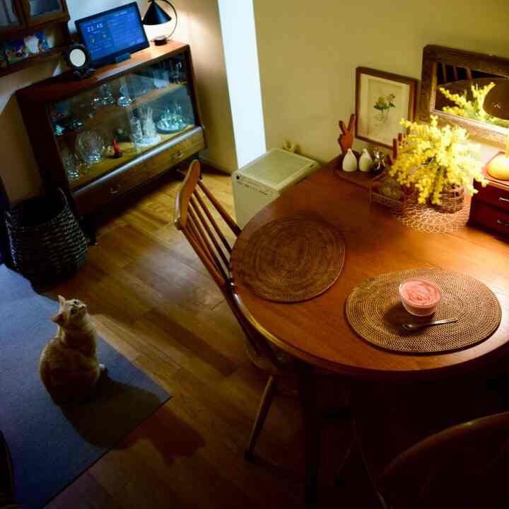 温かみのあるブラウン調のダイニングルーム、丸いダイニングテーブルと椅子が配置され、ラグの上に猫が座るヴィンテージ感のある印象的な空間