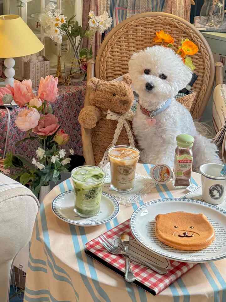 ベージュのラタンチェアと花瓶、かわいい白い犬とくまのパンケーキが置かれた暖かく居心地の良いおうちカフェのインテリア