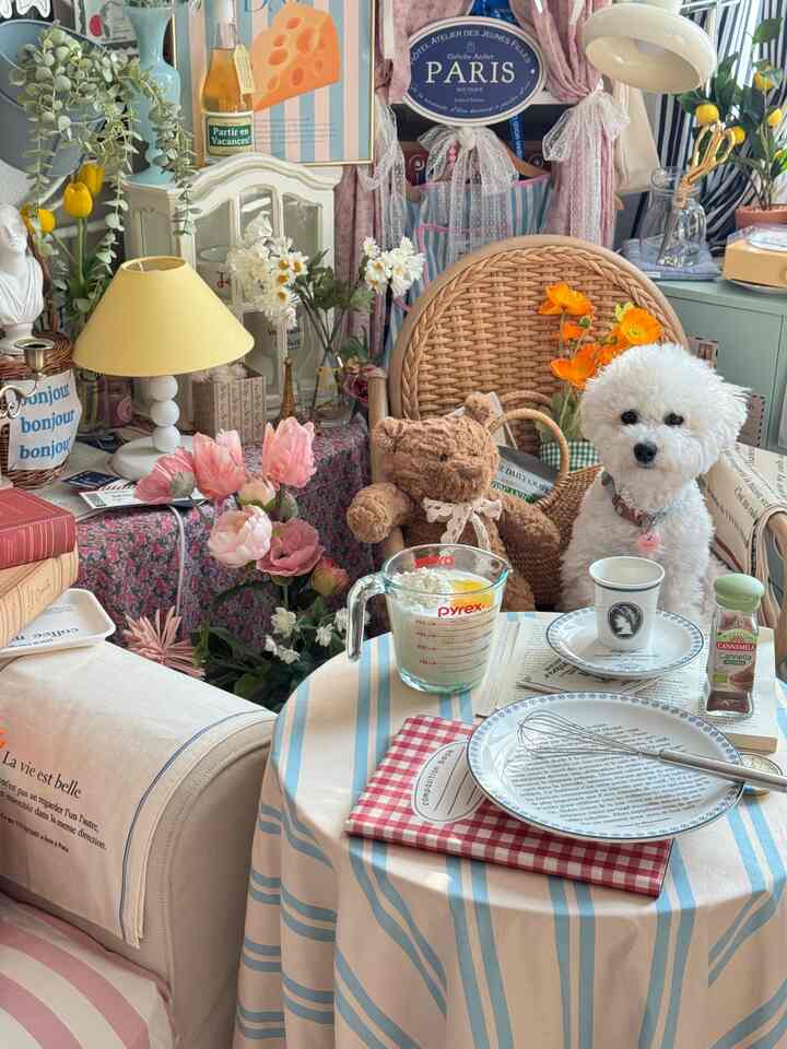 柔らかなナチュラルカラーのコンパクトなホームカフェ空間、ラタンチェアと花瓶、犬と暮らす温かみのあるインテリア