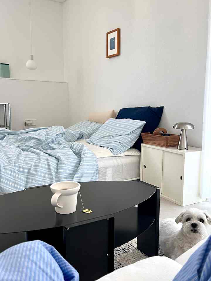 Natural-tone bedroom with white and blue hues, neat bed and nightstand, featuring a pet dog in a calm atmosphere