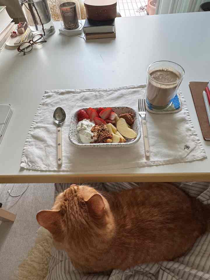 明るいトーンのダイニングテーブルの上に朝食セットとカップがあり、椅子に座る猫がいる雰囲気のある空間