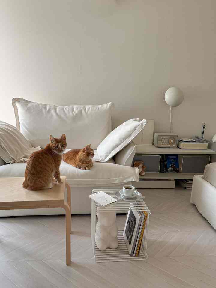 白を基調としたミニマルなリビング、白いファブリックソファと木製サイドテーブルの上に座る二匹の猫がいる、落ち着いた雰囲気のインテリア