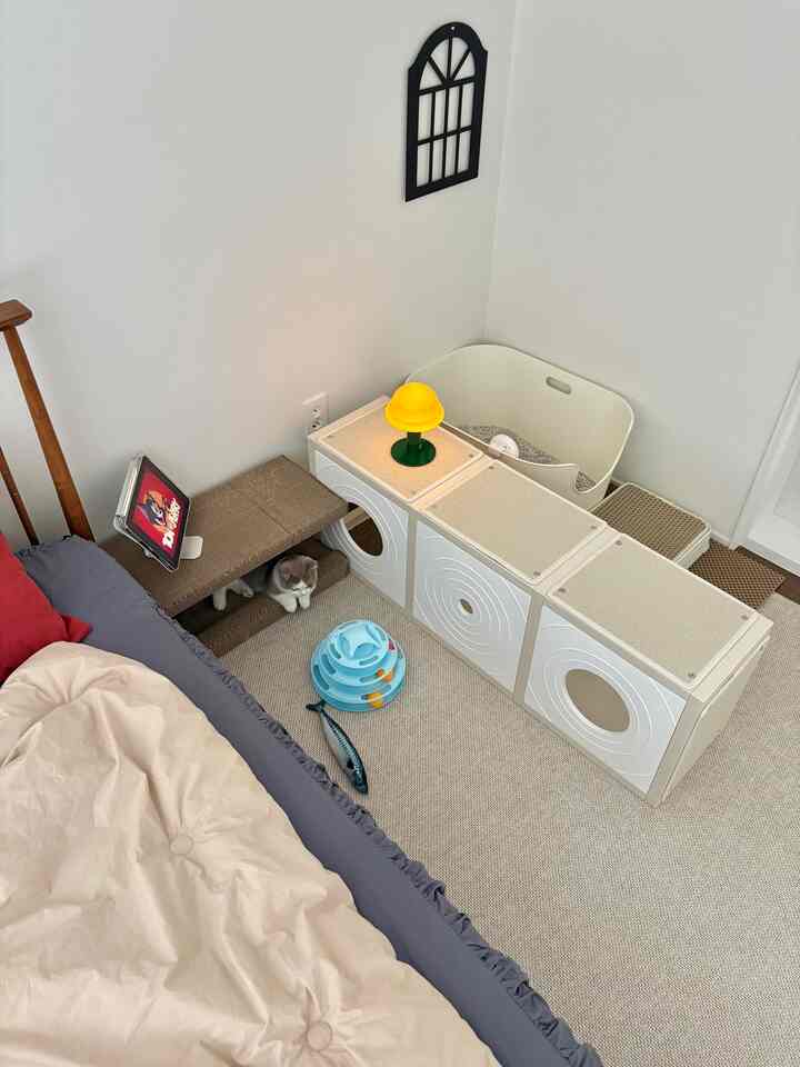 ベージュの床とホワイトのキャットタワーがある猫と暮らす小さな寝室のコーナー