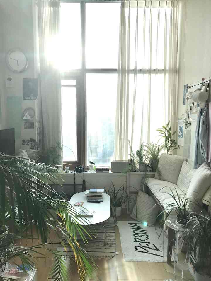 明るい白を基調としたリビング、大きな窓と薄手の白いカーテン、自然な植物とナチュラルなソファが配置された落ち着いた空間