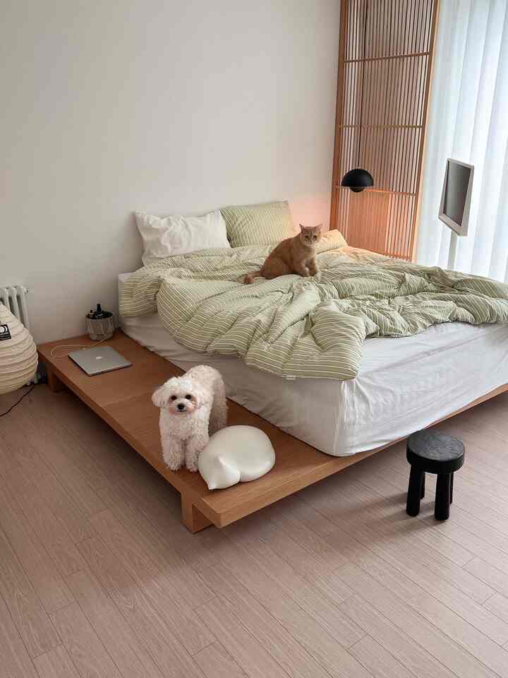 白い壁と木目調の平台ベッドが配置されたペットと暮らすナチュラルな雰囲気の寝室