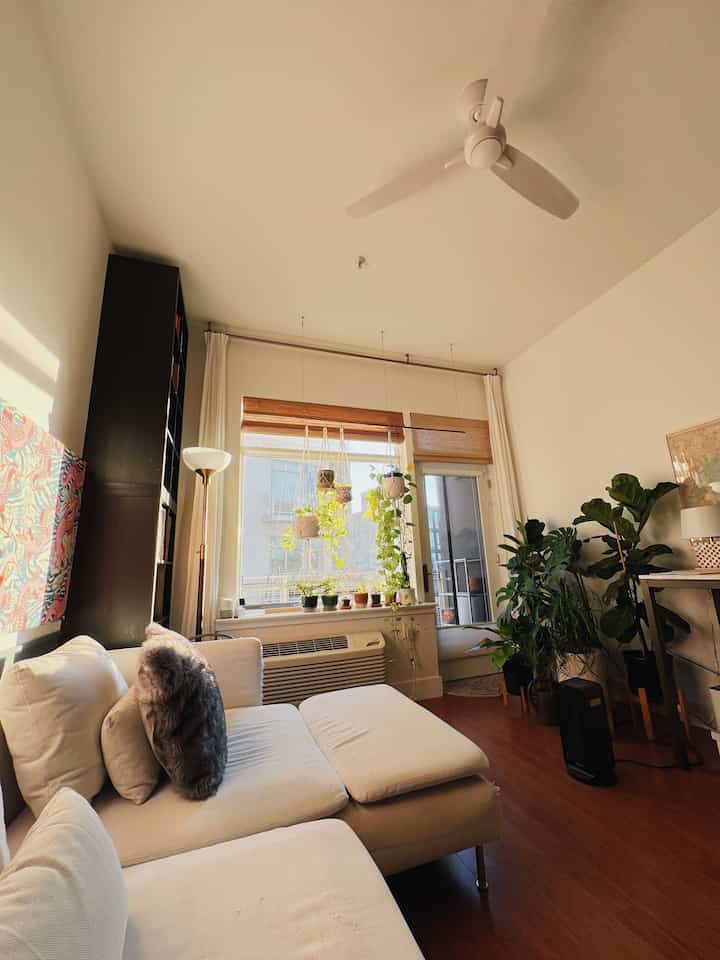 in the afternoon light
#livingroom #eclectic #bohemian