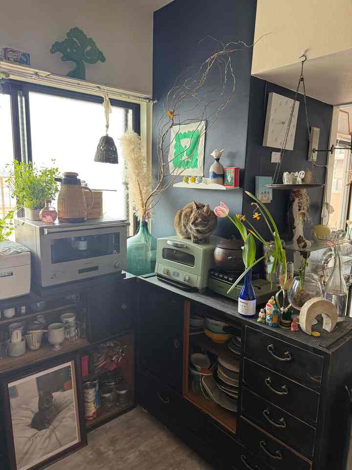黒いキャビネットと緑色のヴィンテージトースターがあるキッチン、トースターの上に猫が座り、様々な花瓶や装飾品が並ぶ落ち着いた雰囲気のインテリア