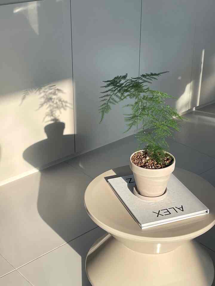 もう4月チョラニは信じられないですね🙃
一日がどのように通過するのか

その中で、今日のヒーリングモーメント
午後の日差しをたっぷり受ける美しいニードル🌱🐾

私たちのコウモリ、、、美容はいつも家で私がしています。 
昨日2時間以上体はバリカンで押してくれ、頭ははさみカットしてくれたら首に塀がかかりましたね😂
。
。
。
＃新婚旅行＃新婚旅行のインテリア＃新婚旅行のインテリア小道具＃インテリア＃インテリアアクセサリー＃リビングルームのインテリア＃リビングルームの装飾＃ホームインテリア＃ホームスタイリング＃ホワイトインテリア＃フランテリアhomeinterior #livingroom #livingroominterior #whitetone