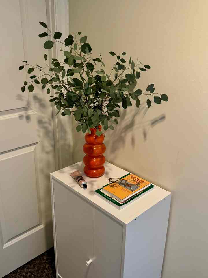 Natural-toned entrance featuring a white cabinet with an orange vase filled with eucalyptus, creating a cozy atmosphere